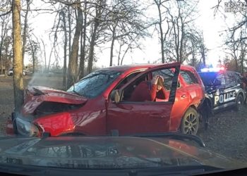 سيارة تصطدم بشجرة اثناء محاولة سائقها الهروب من الشرطة