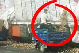 "تم القبض".. لصوص يسرقون البطاطس من شاحنة أثناء سيرها بمصر