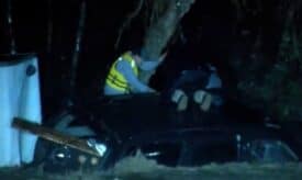 عملية إنقاذ ركاب سيارة جرفتها السيول وعلقت بشجرة