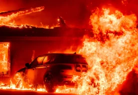 رئيس تسلا يبث فيديو الجحيم ويهاجم السلطات