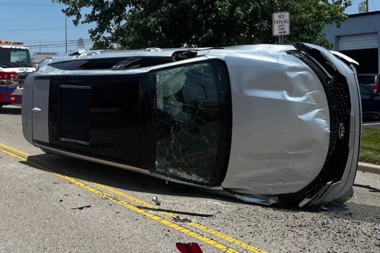 حادث انقلاب سيارة بسبب حشرة