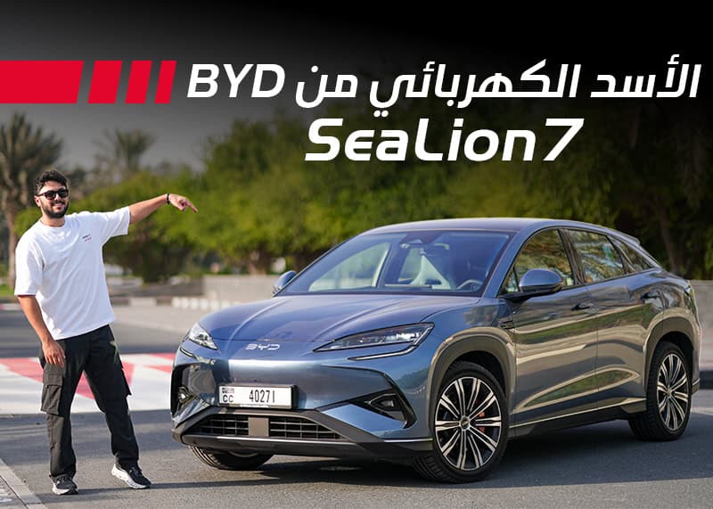 بي واي دي 2025