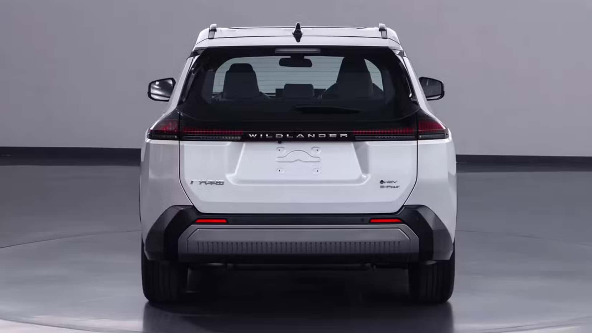 تويوتا راف فور وايلدلاندر