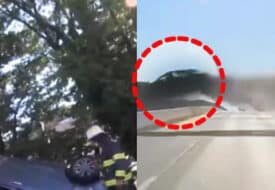 سيارة تطير فوق الطريق وتتحطم وسط الاشجار