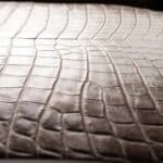 جلد التمساح في السيارات